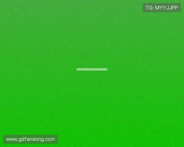 伴雨行：在淅沥的乐章中，邂逅心灵的栖息地