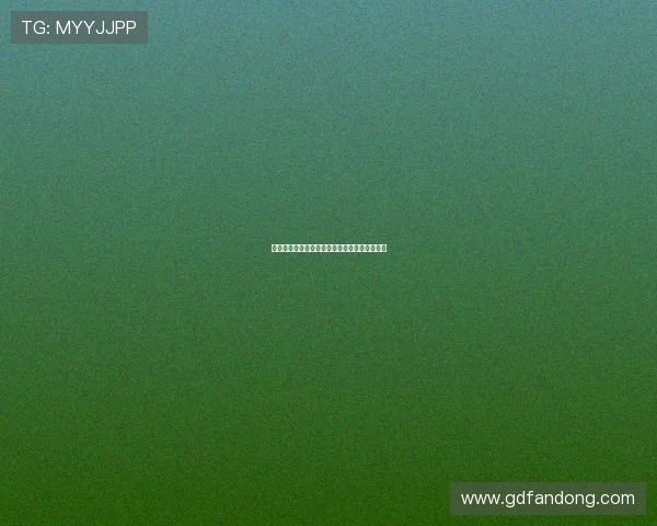 深圳湾：不止是风景，更是一段动人的都市情缘