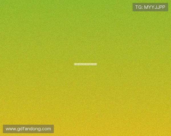 神奇飞书：开启高效协作的奇幻之旅